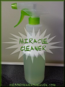 My DIY Miracle Cleaner